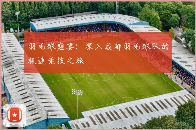 羽毛球盛宴：深入成都羽毛球队的极速竞技之旅
