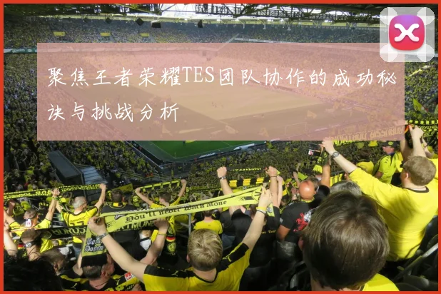 聚焦王者荣耀TES团队协作的成功秘诀与挑战分析